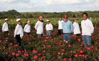 Nursery Photos | Quality Trees and Shrubs | Umatilla, FL